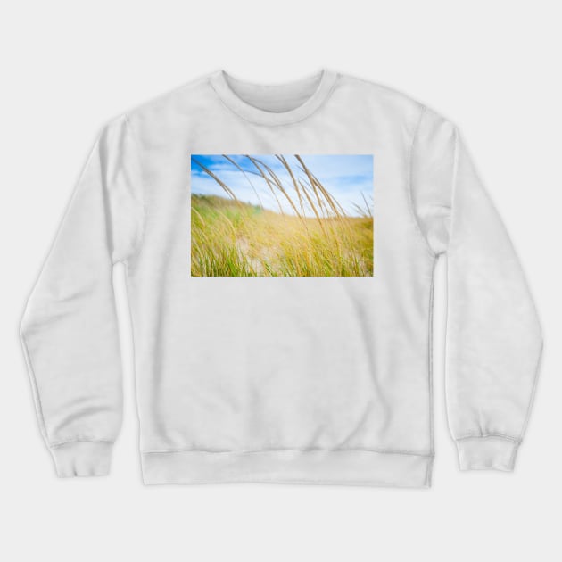 Abstract effect Marram grass blowing in wind.  imagine this on a  card or gracing your room as wall art fine art canvas or framed print on your wall Crewneck Sweatshirt by brians101